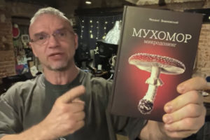 Грибоман Epifancev muhomor microdosing 300x200 Грибоман